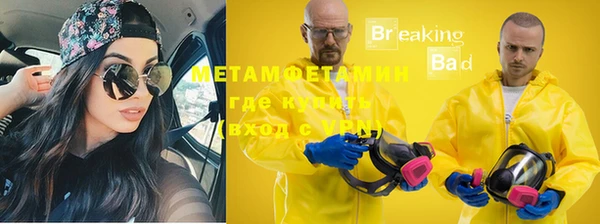 индика Дмитриев