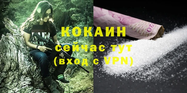 индика Дмитриев