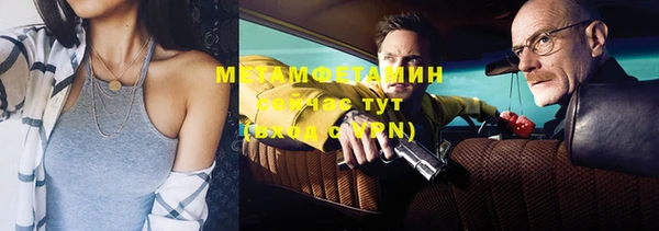 индика Дмитриев