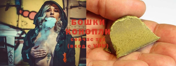 индика Дмитриев