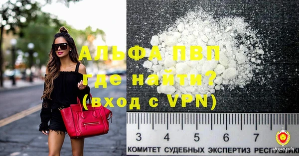индика Дмитриев