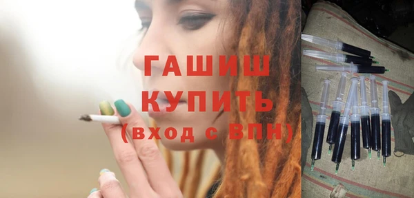 индика Дмитриев