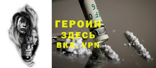 индика Дмитриев