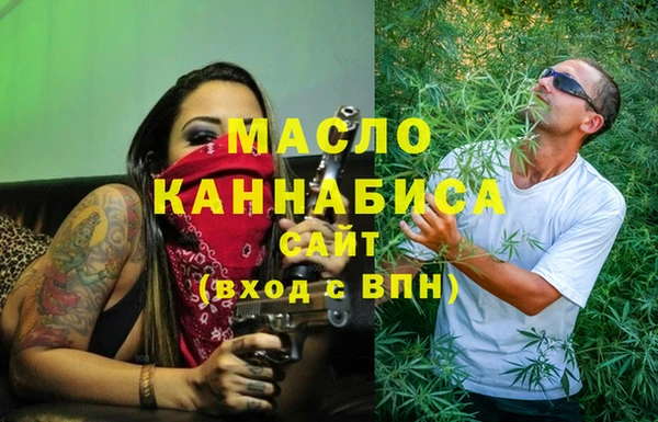 индика Дмитриев