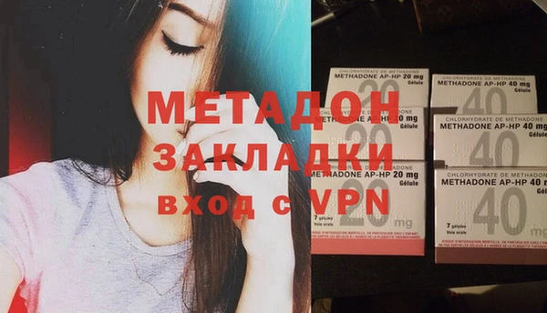 индика Дмитриев