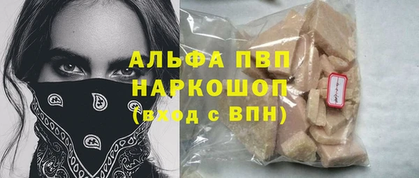 индика Дмитриев