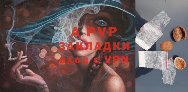 индика Дмитриев