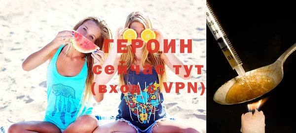 индика Дмитриев