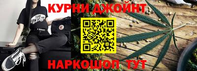 гидра Заводоуковск
