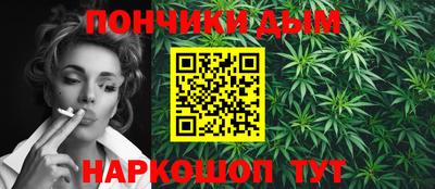гидра Заводоуковск