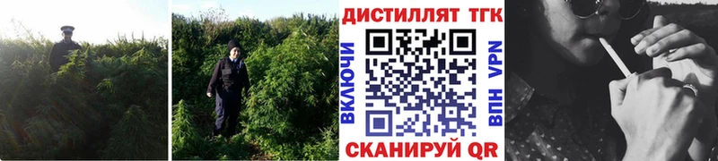 ТГК вейп с тгк  shop какой сайт  Санкт-Петербург 