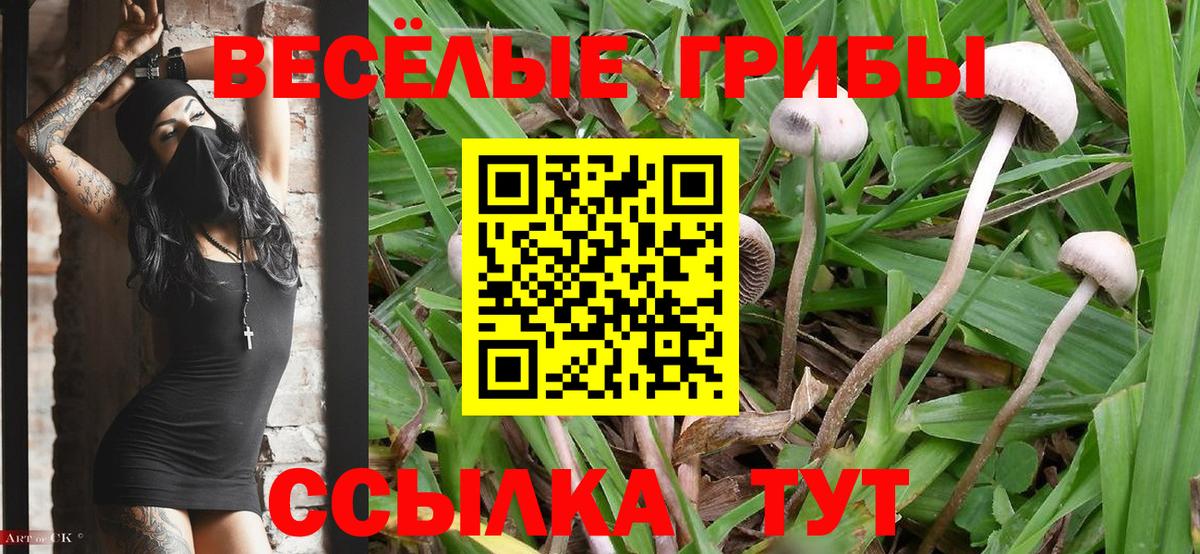 Галлюциногенные грибы мухоморы  Вход с VPN  Санкт-Петербург 