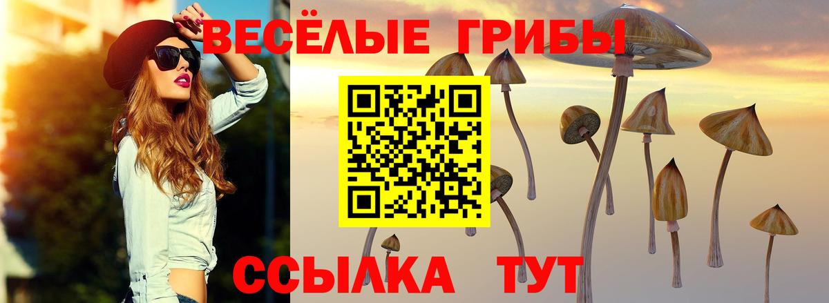 Псилоцибиновые грибы GOLDEN TEACHER Санкт-Петербург