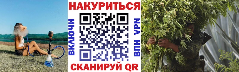 omg вход  Санкт-Петербург  Каннабис Ganja 